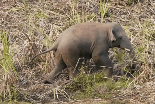 中国人冒死拍的纪录片,一群中国人冒死拍摄