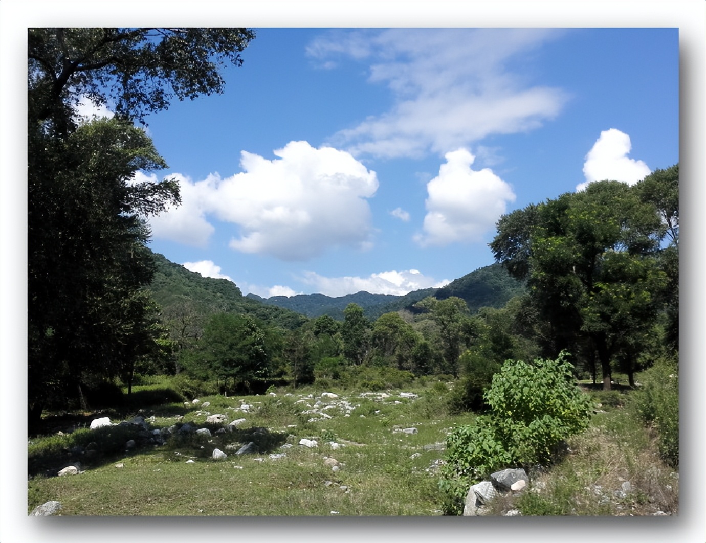 枫丹白露中国,探访中国最北漠河