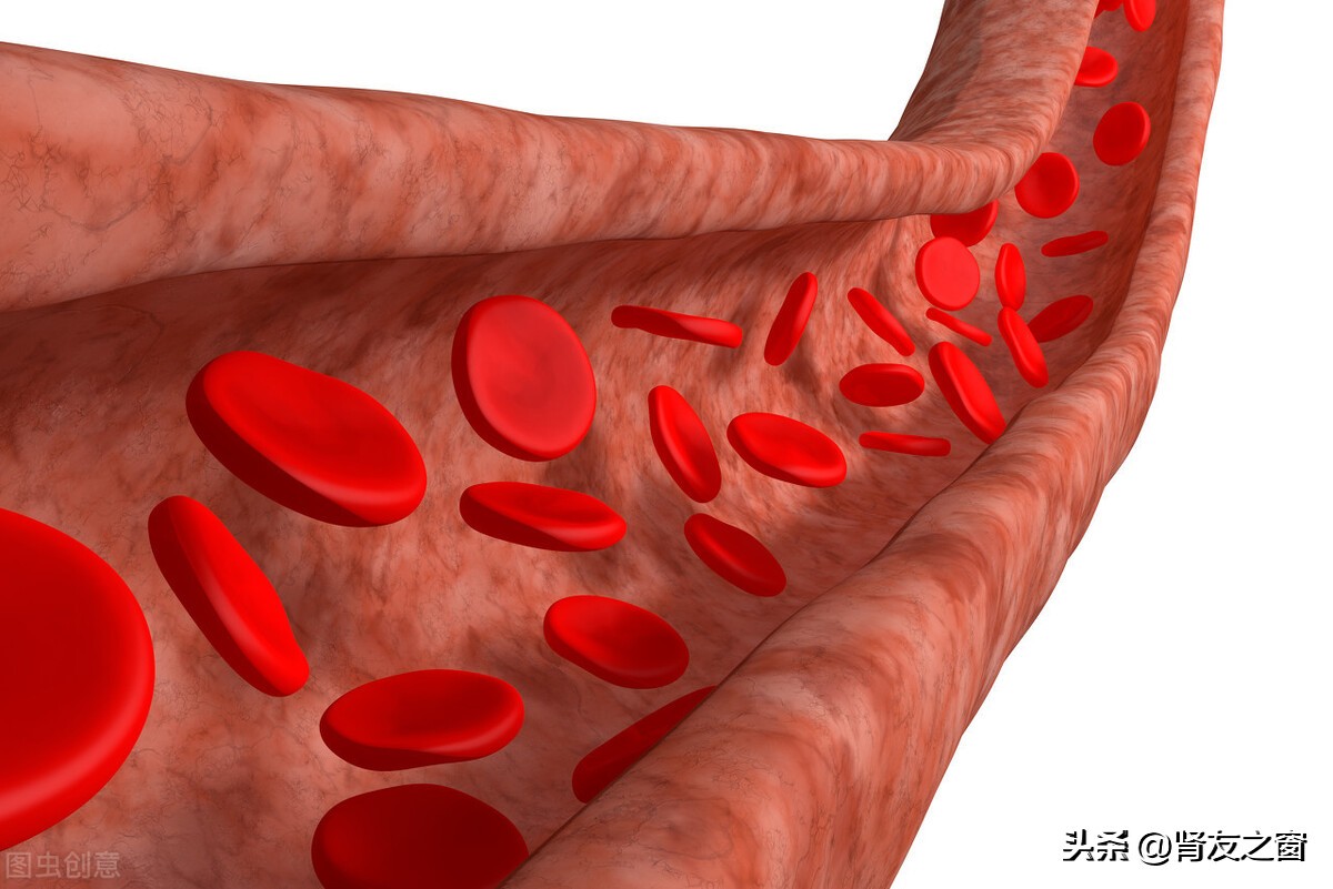 促红素对肾病有效吗,贫血怎样用促红素