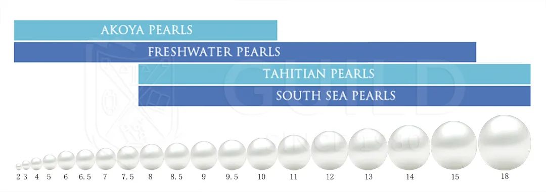 世界杯历史上最昂贵的比赛,最贫穷的世界杯