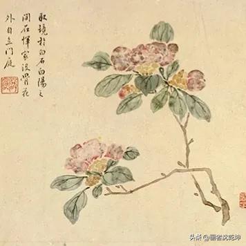 花鸟工笔白描100张简单,重彩工笔花鸟白描