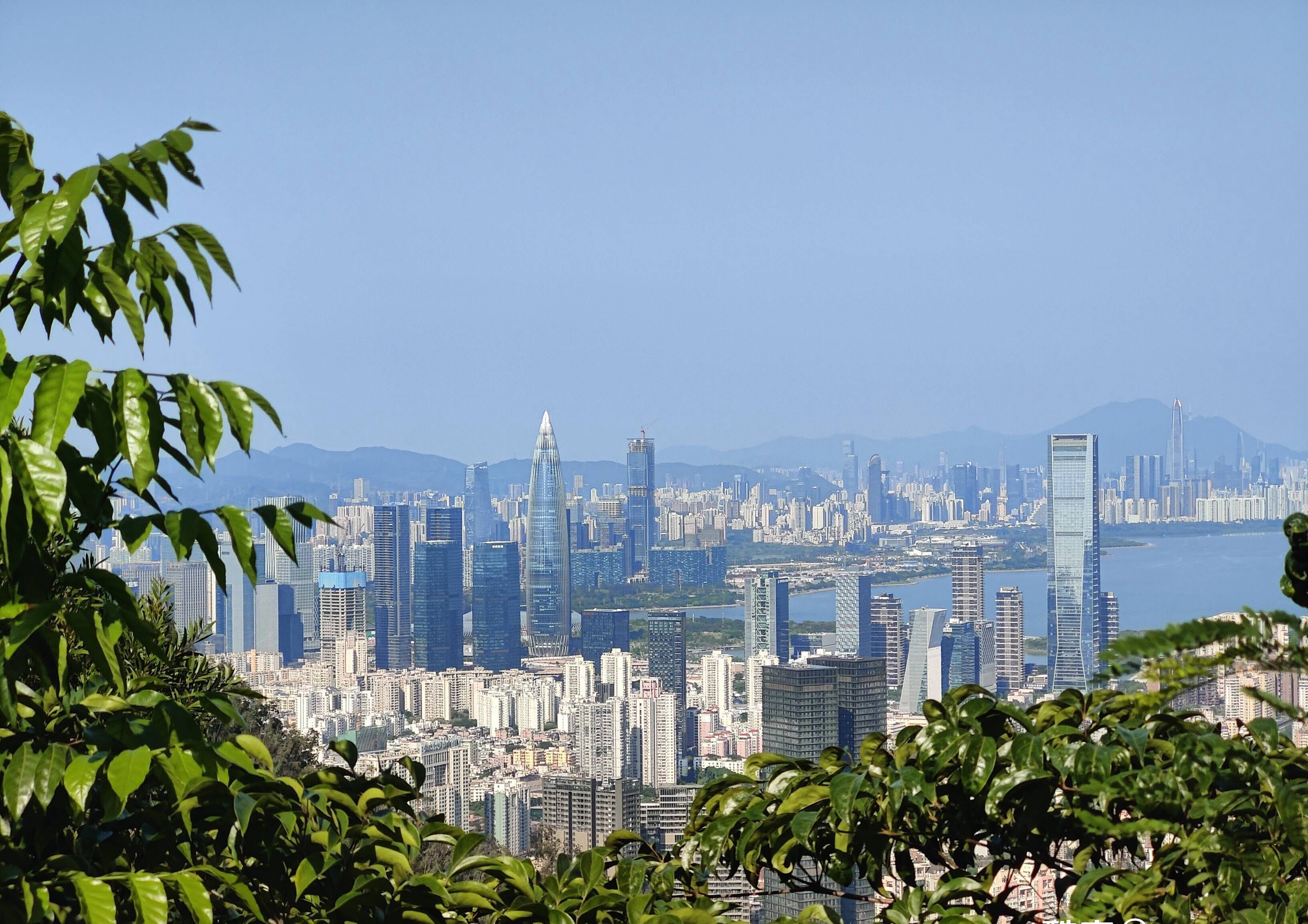 一加10pro使用一个月体验,一加10pro有哪些优点