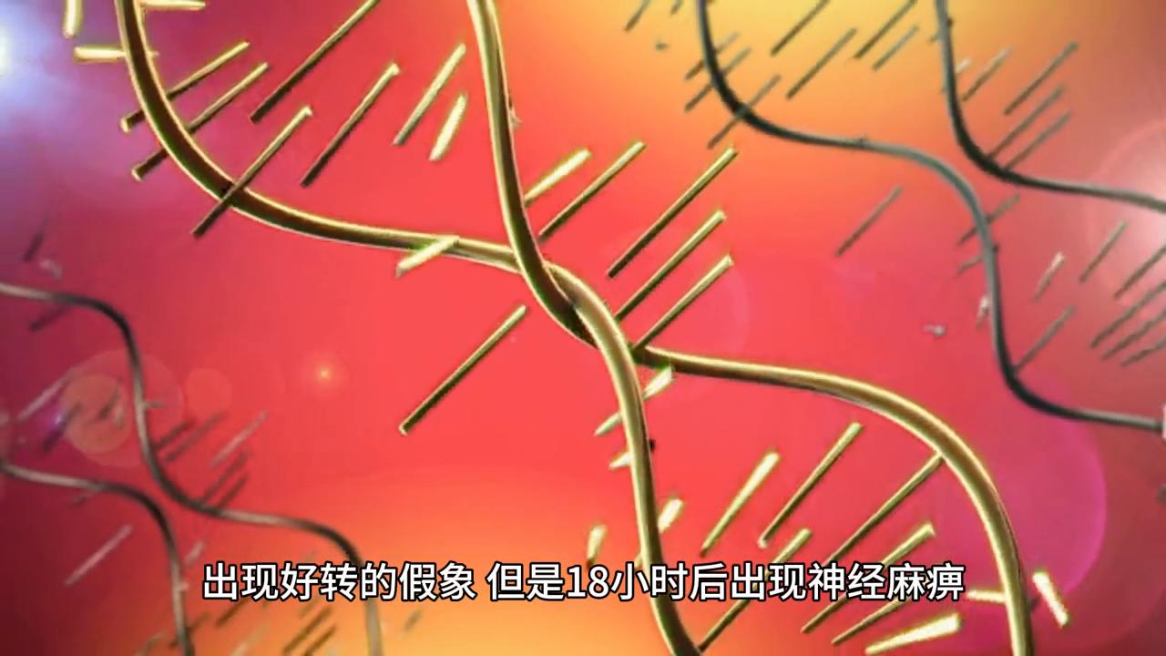 狂犬病早期症状发作还能活多久,狂犬病发作后真的可以存活吗知乎