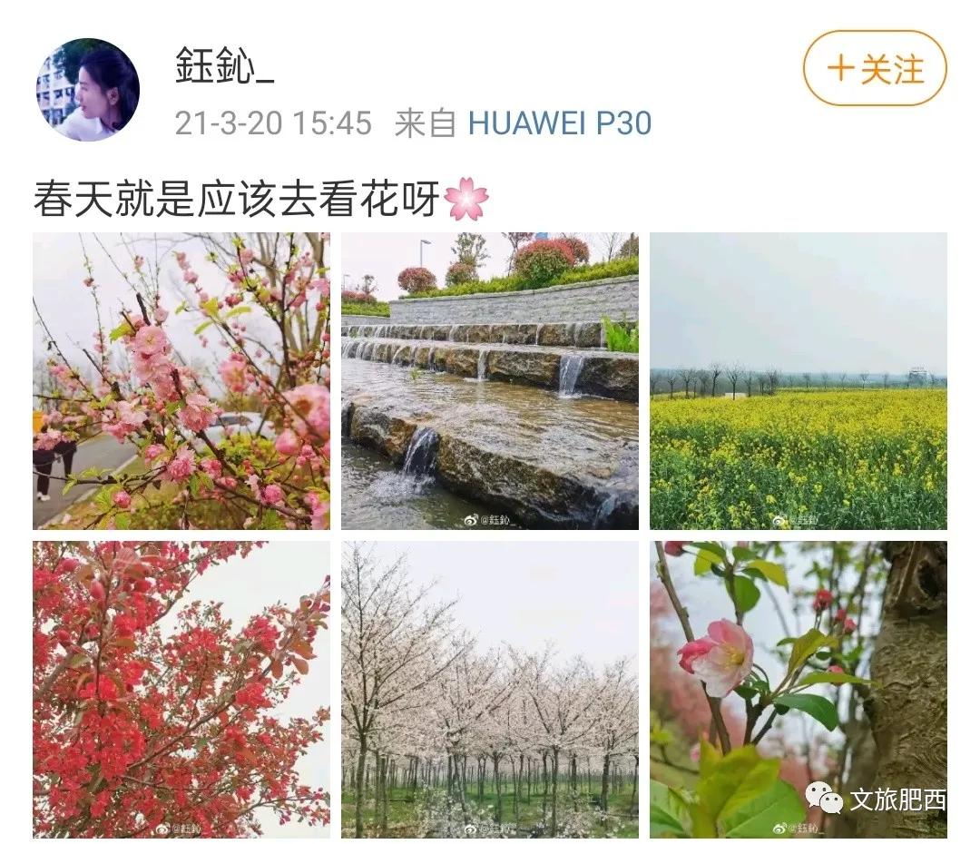 原来，在社交平台中，肥西的真实风景是这样的