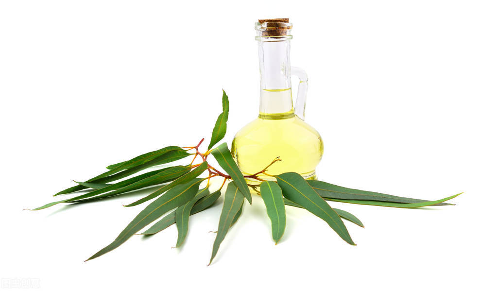 适合秋天用的单方精油有哪几种,秋冬季常用精油有哪些好处