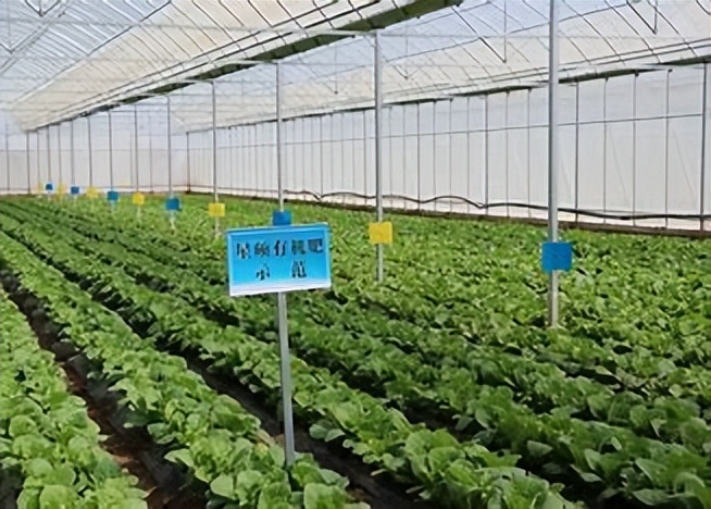 有机农业的基本特征,有机农业的利弊