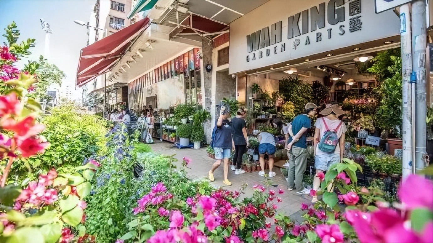 香港美食天堂旺角,香港旺角美食打卡地