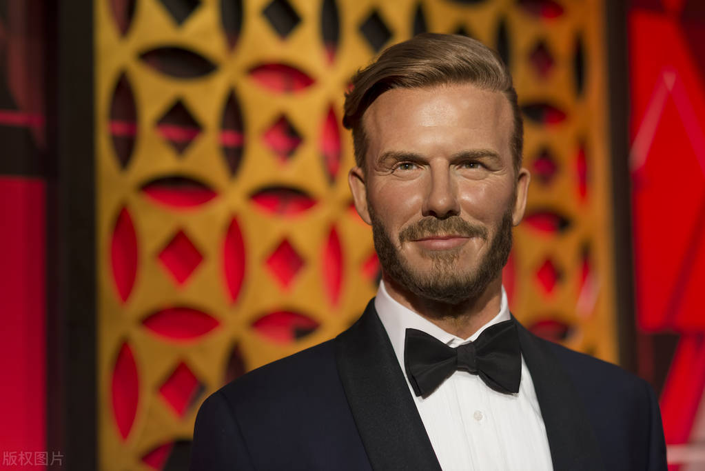 名人星座分布,名人星座解析