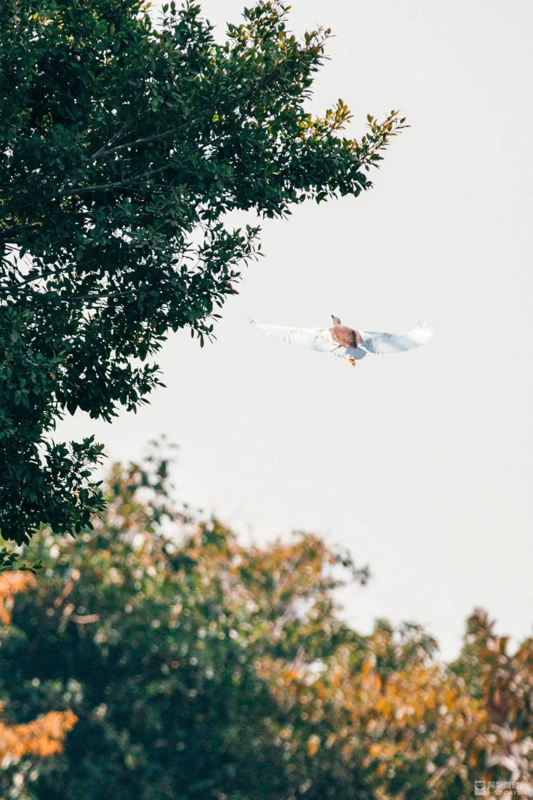 29岁深圳女孩：在“性学”门诊上班，看见产后女性的隐秘困境