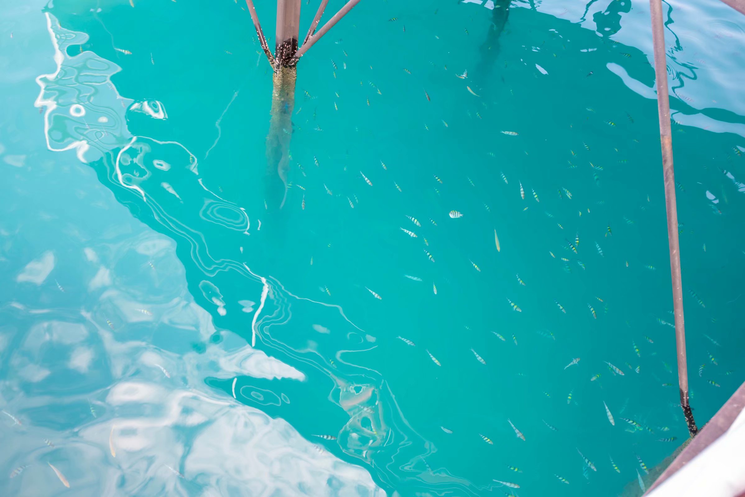 三亚和泰国哪个更适合旅游,三亚旅游和泰国旅游花费差多少钱