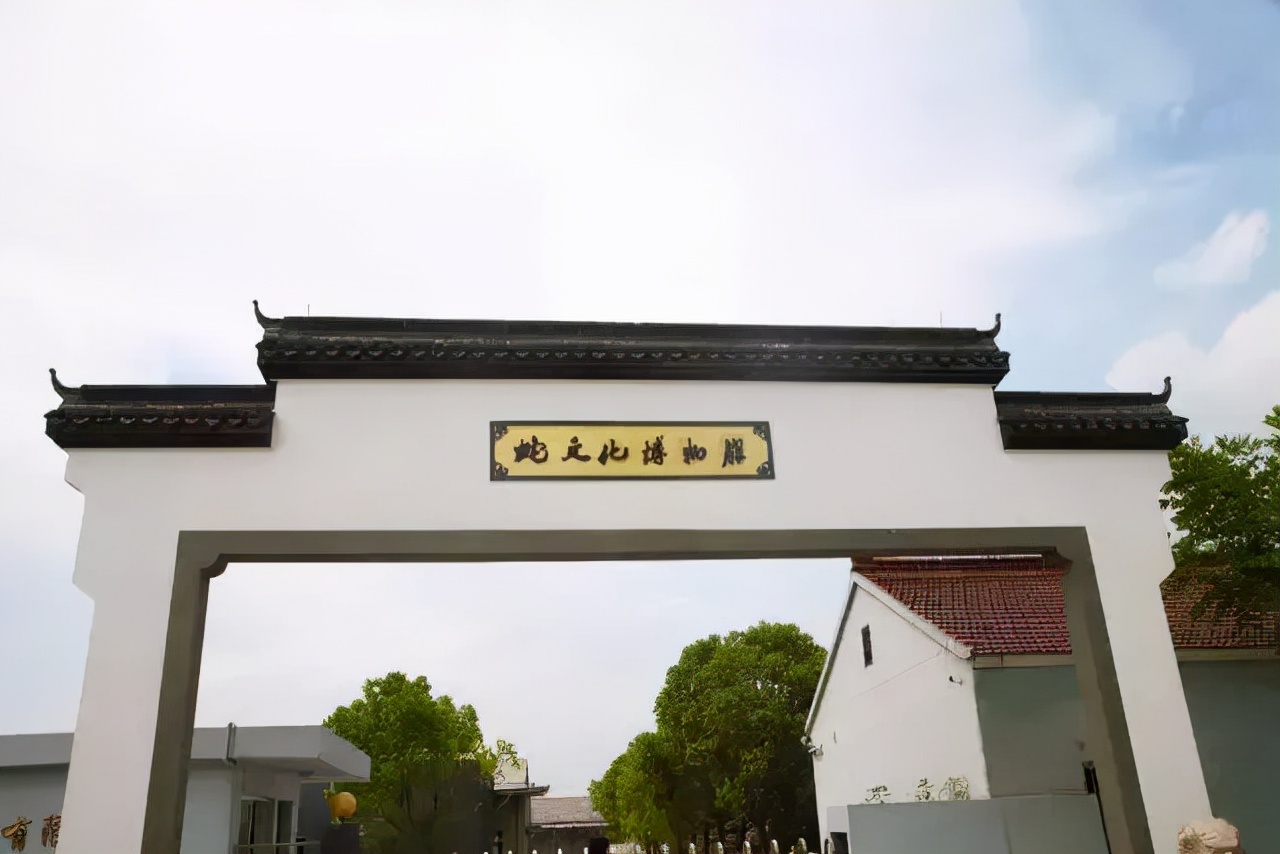 每晚枕着上万条蛇入眠,这里的村民为了脱贫能有多拼?