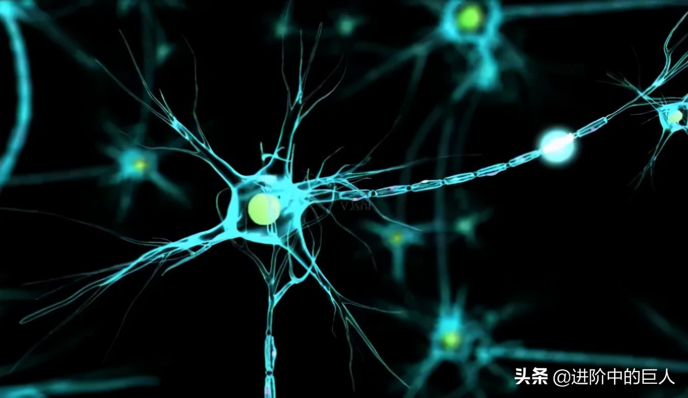 一些针对胡建人的恶意：“斧护符”