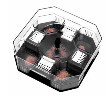 家庭如何灭蟑螂最有效的方法,灭蟑螂最好的方法家里