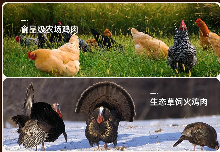 如何选猫粮猫粮排行榜,布偶猫猫粮什么牌子好又便宜