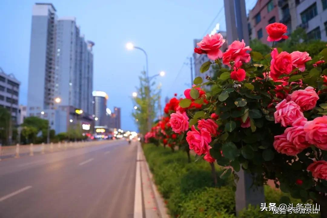 京山摄影爱好者,京山市摄影最牛的人