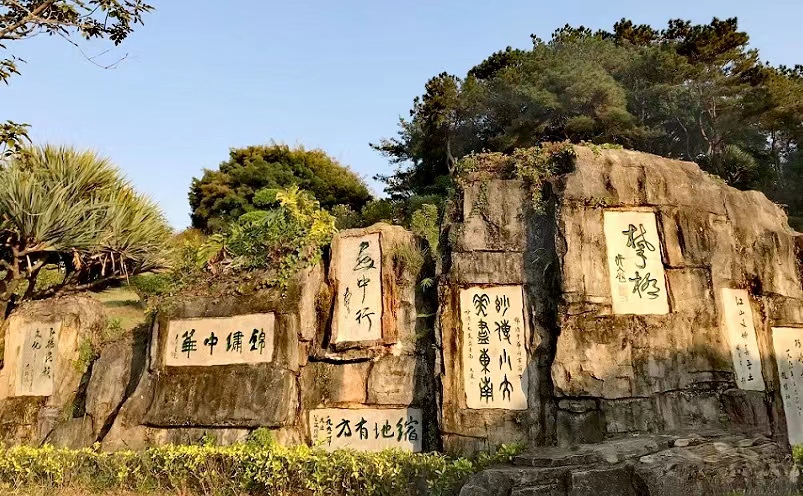 深圳必去的地方十大景点推荐理由,深圳游玩攻略必去十大景点有哪些