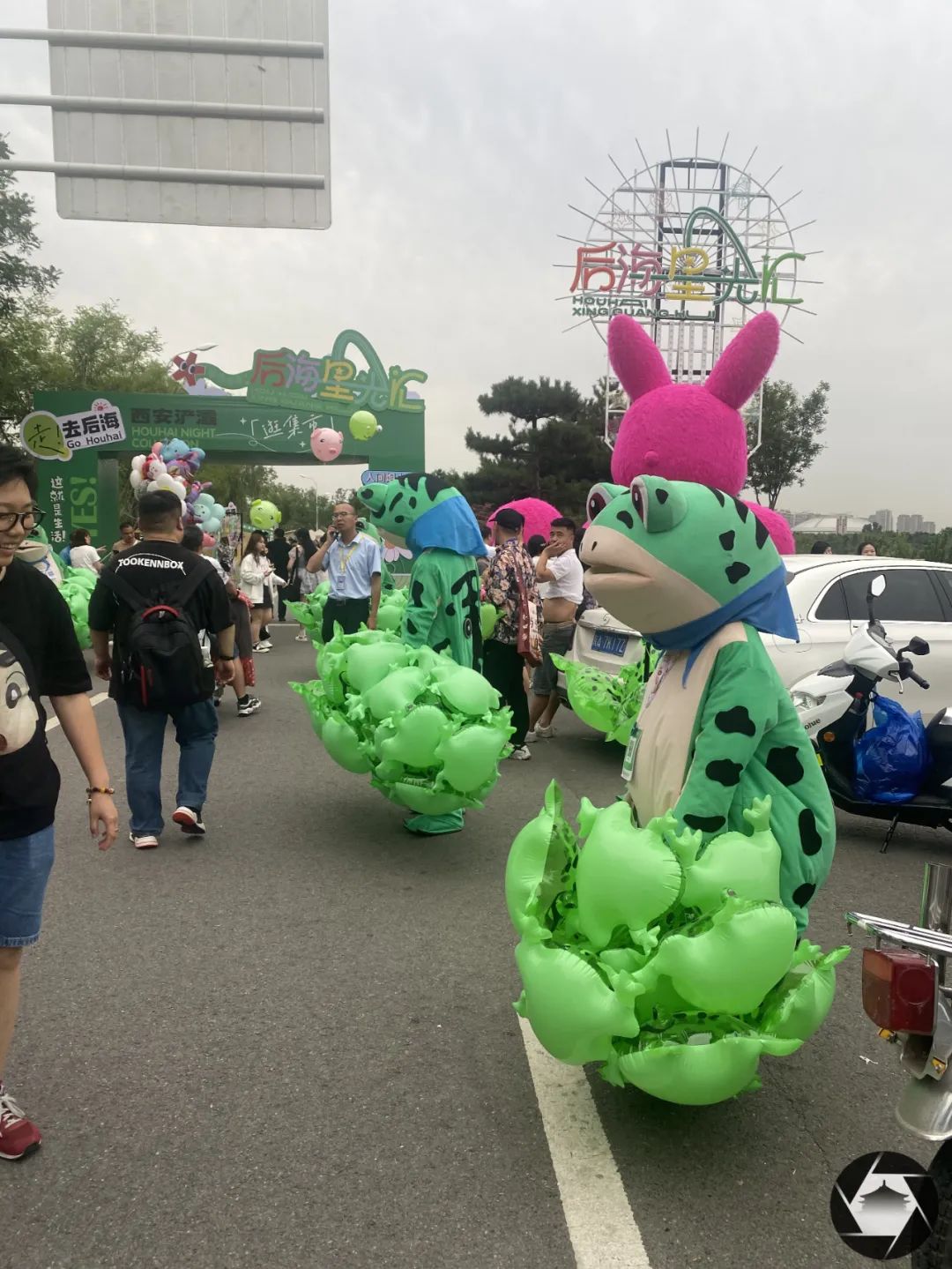 走，浪走！我见证了西安浐灞“野生后海”的正向生长