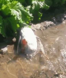 女朋友过生日送七夕礼物,女朋友送我生日礼物感动哭了