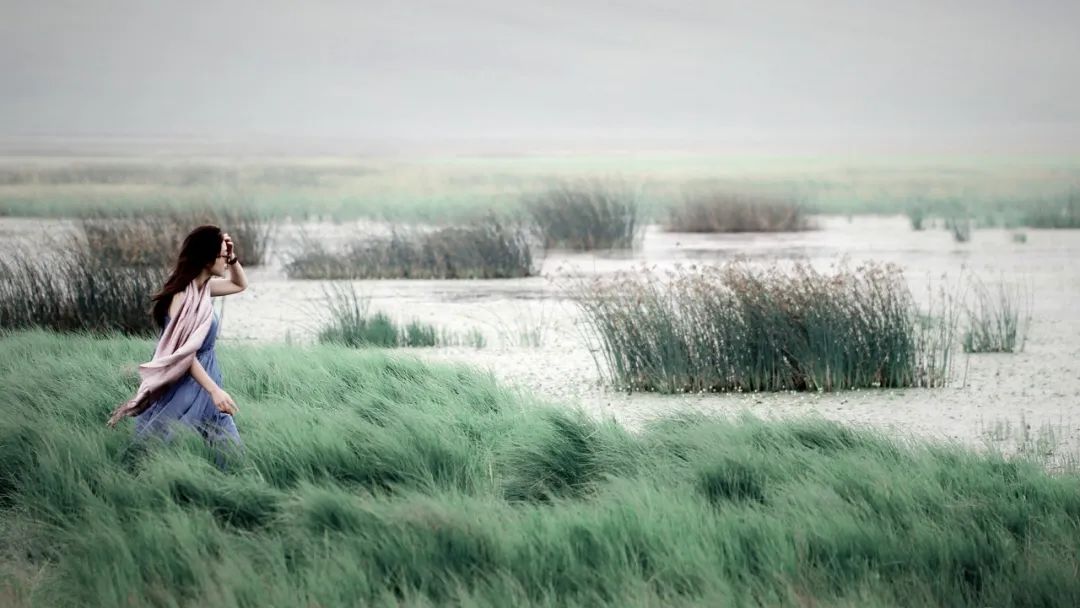 说话的最高境界书籍,说话的最高境界朗诵