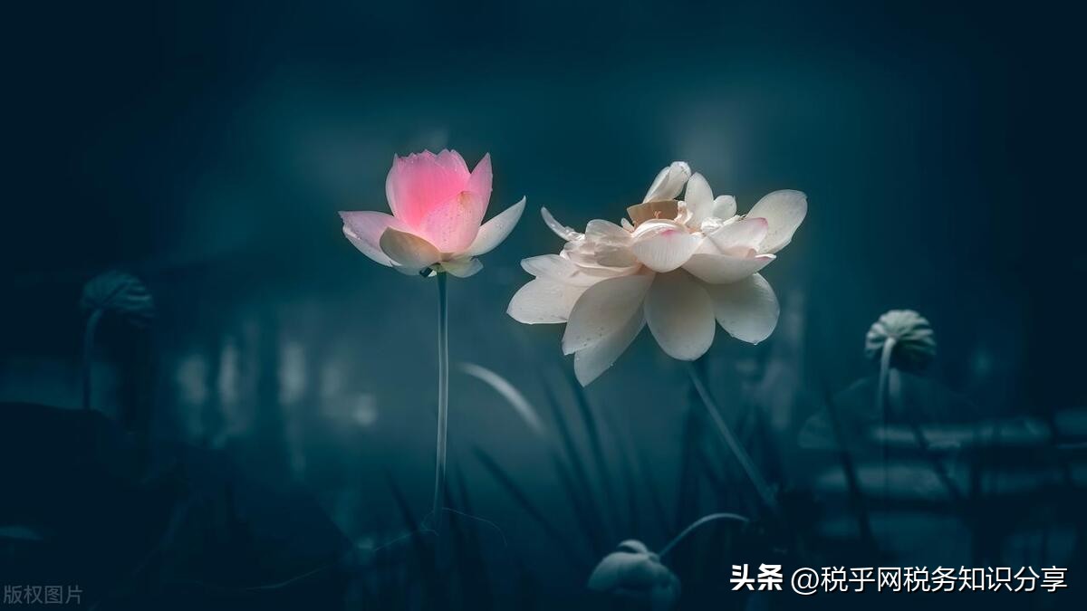 中国税务报：卖方拒开发票，买方如何维权？