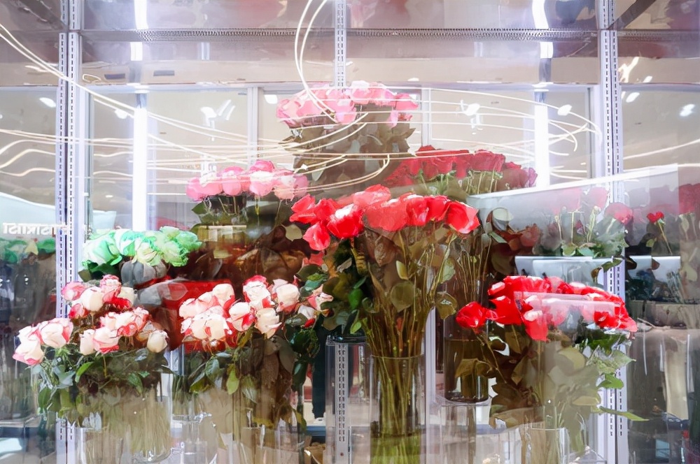 roseonly新品发布会直播,roseonly北京
