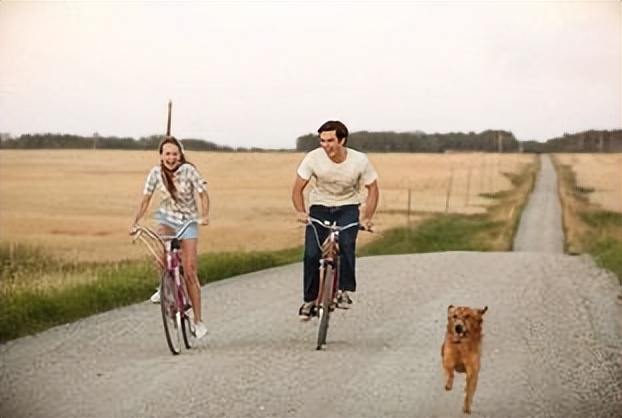 聪明的贝利，表明了动物与人之间的羁绊，表明动物也是有生命的