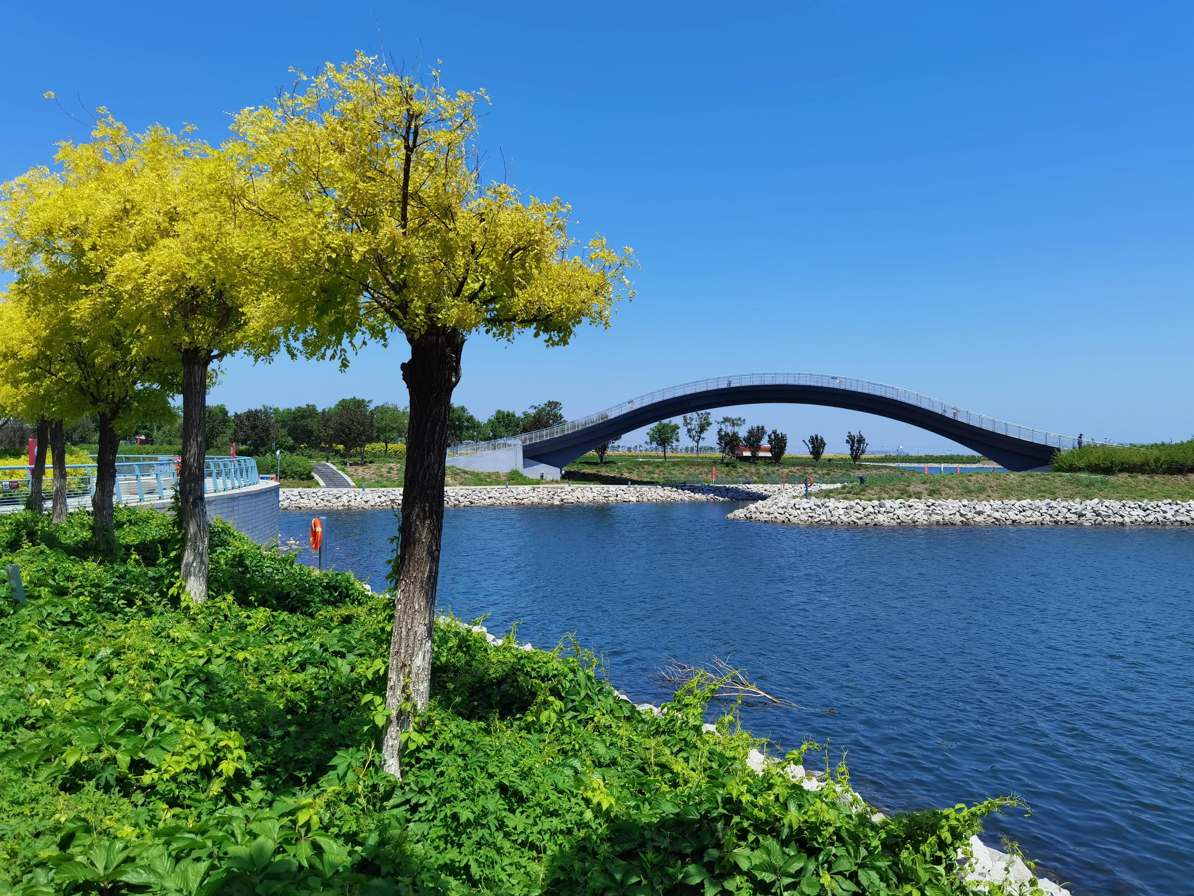 南湾海洋运动公园,国家海洋博物馆周边南湾公园