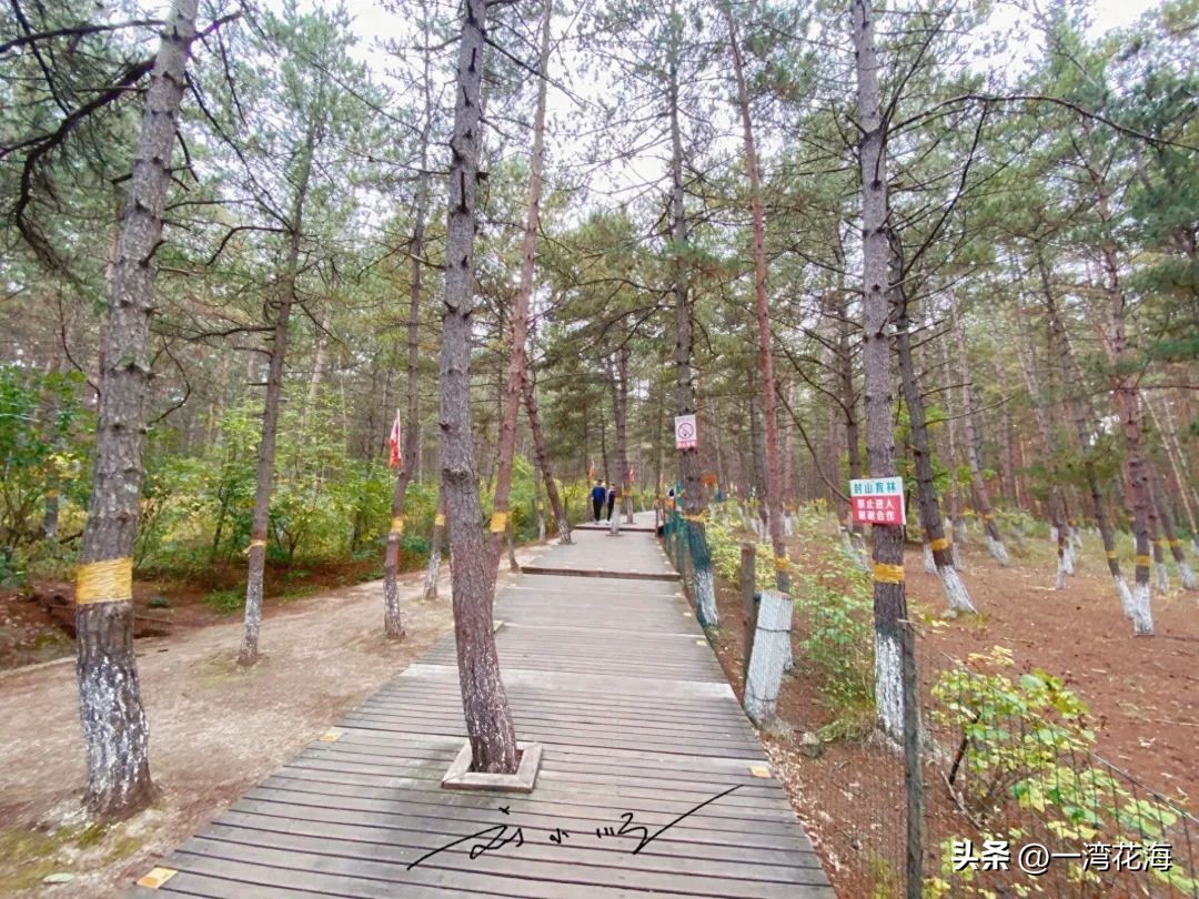 吉林延边州延吉市青年湖公园,延吉内旅游景区排名