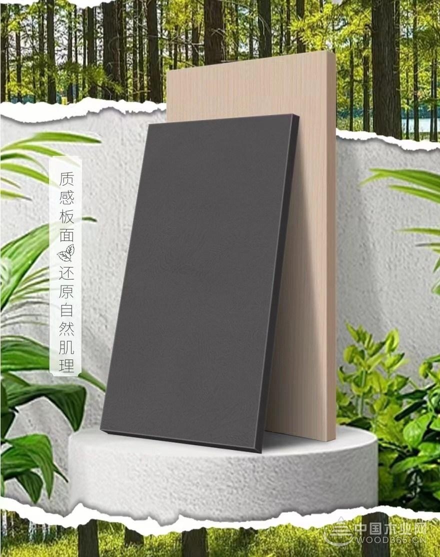 实至名归品牌有哪些,板材十大品牌鹰冠