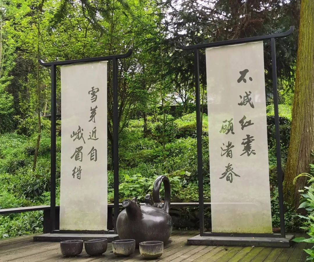 中茶绿茶新晋“成员”—峨眉雪芽，给你舌尖上的新享受