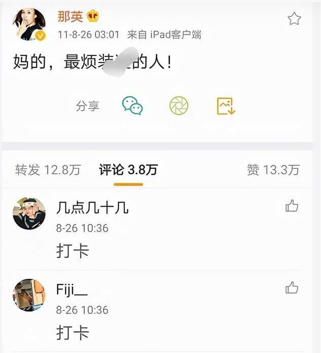 孟桐与那英结婚时多少岁,那英和孟桐婚姻状态