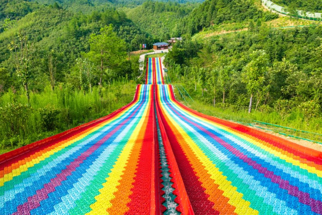 到咸宁看国宝过大年,离家45年的国宝回湖北咸宁过年