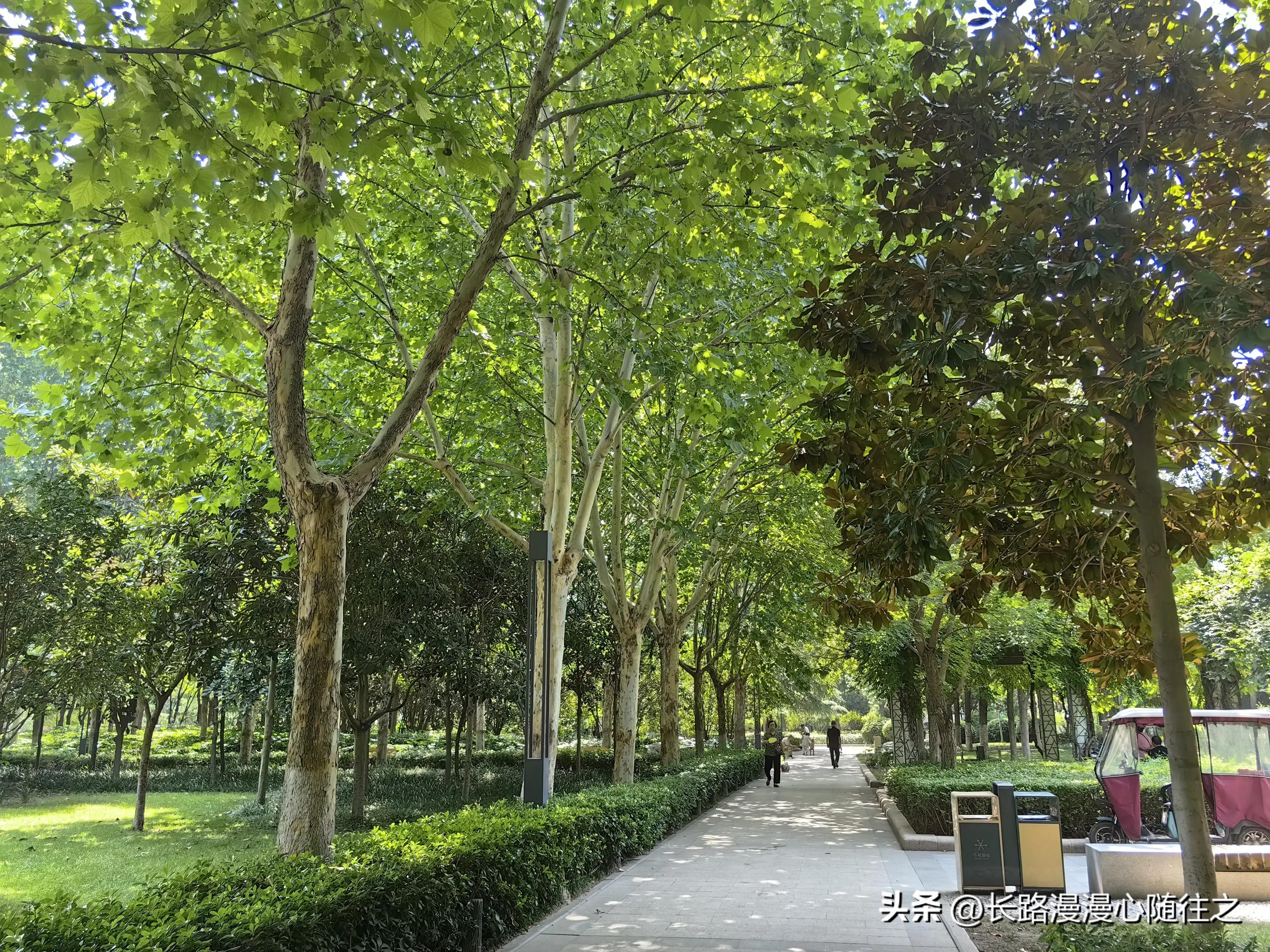 美美姥姥的慢生活,美美姥姥以前的视频