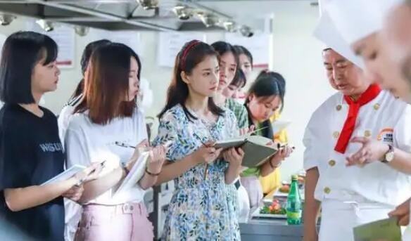 小学生需要学会烹饪,塞尔达如何学会烹饪