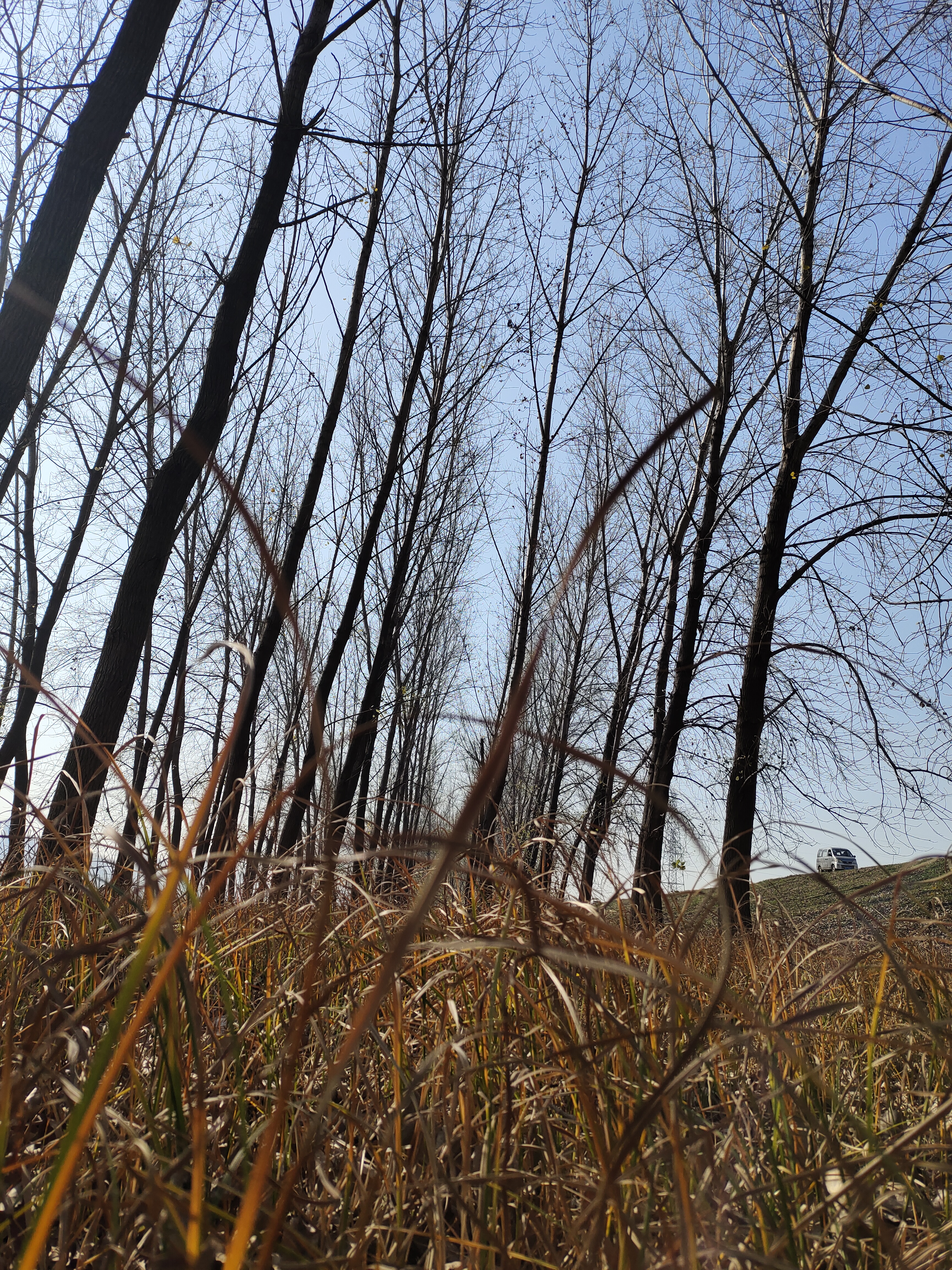 这个周末你过得怎样英文翻译,周末的你过得怎么样