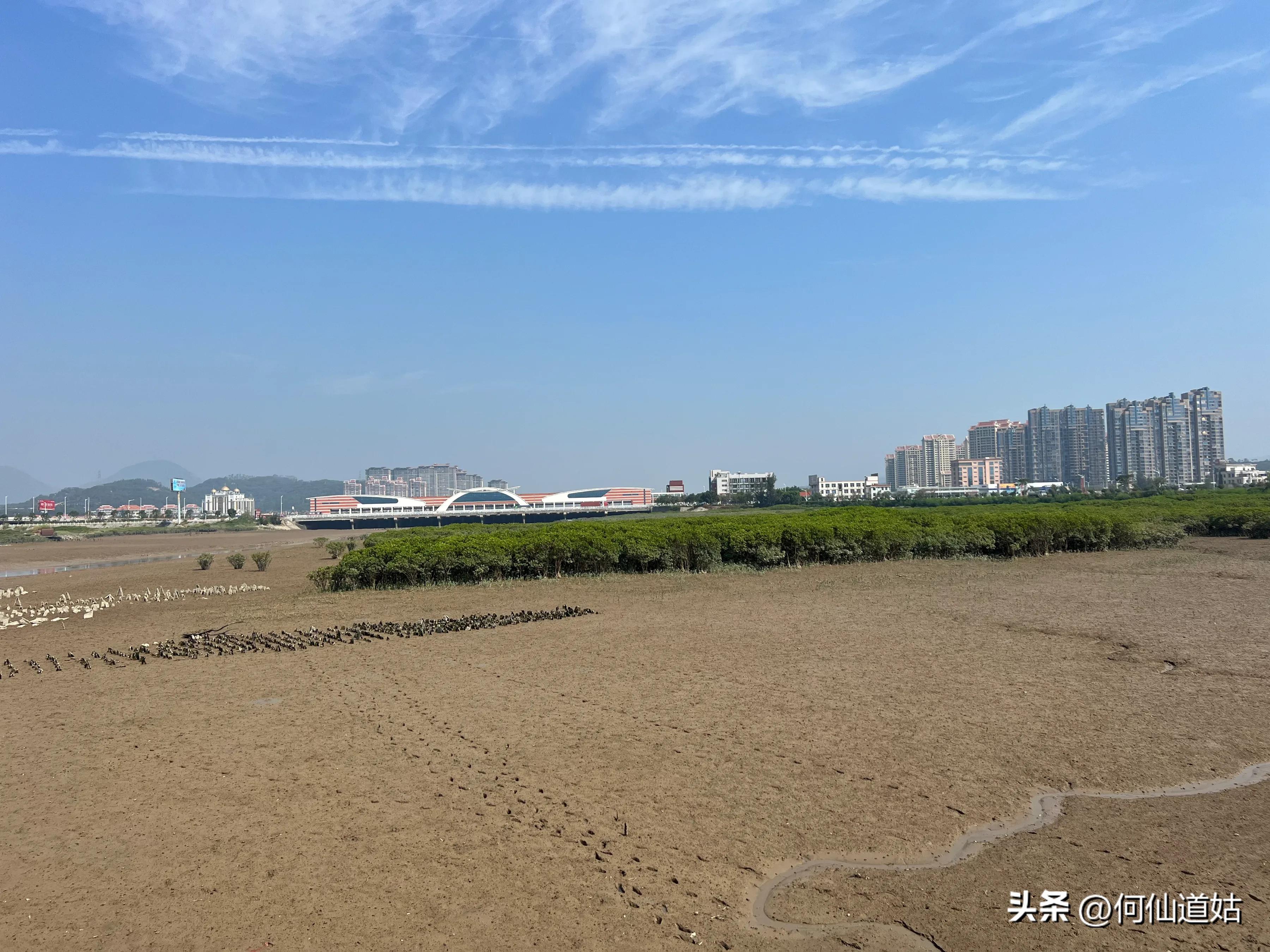 洛阳桥传说真实故事,洛阳桥泉州