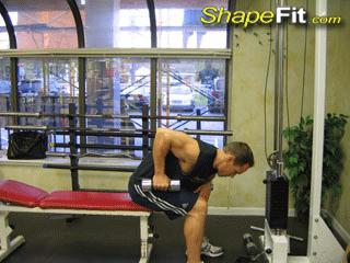 居家徒手增肌健身计划一周表图,家庭哑铃健身计划一周表男士