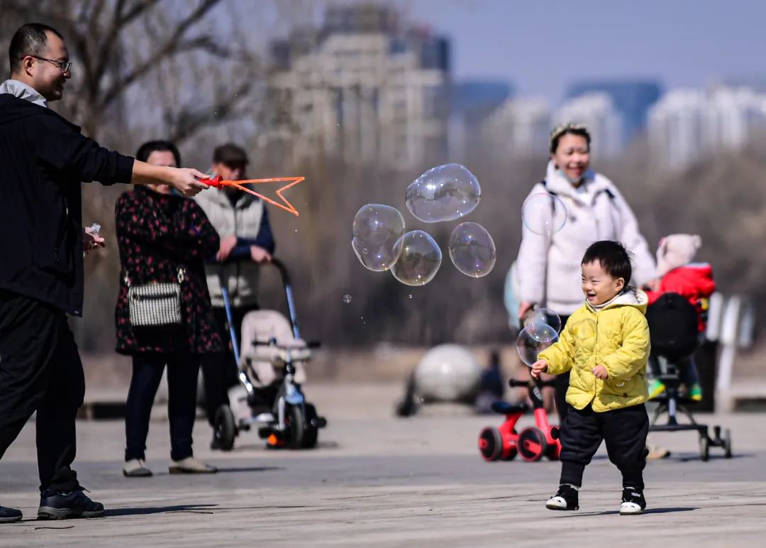 沈阳湿地公园丹顶鹤放飞,沈阳最近郊游最佳地点
