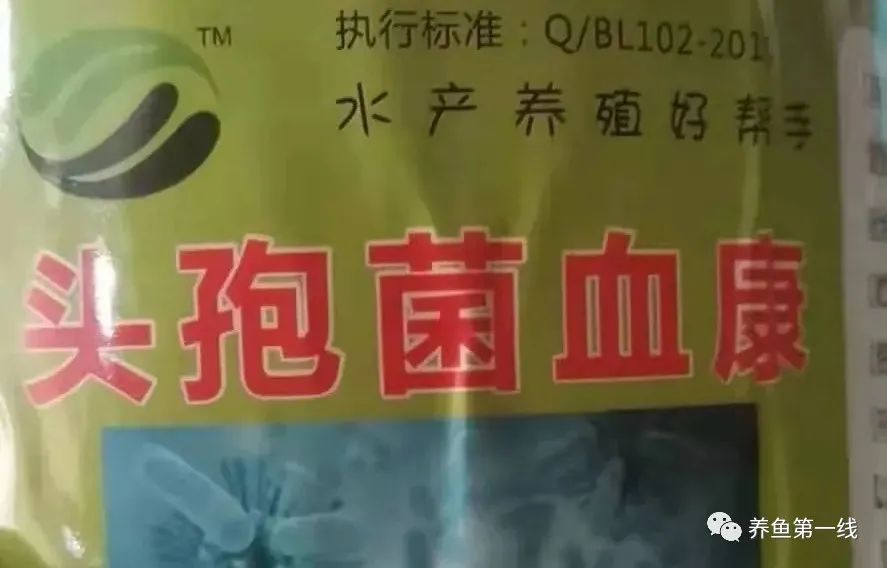 鱼出现败血症怎么治疗,鱼得了败血症怎么治