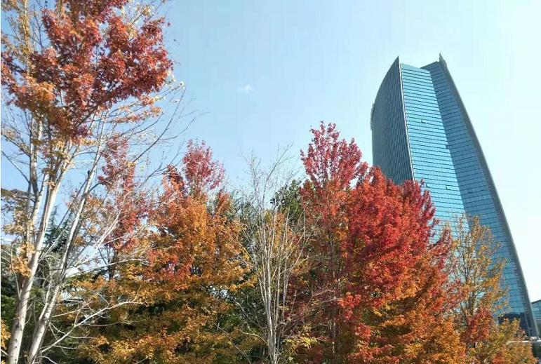 华纺易城哪个户型最好,北京华纺易城二手房多少钱