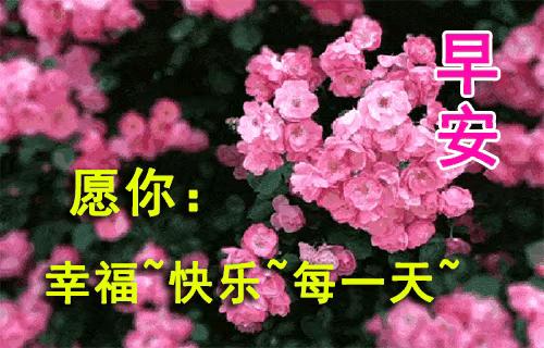 2023年02月27日星期一农历:癸卯年【兔年】二月初八八九第5天