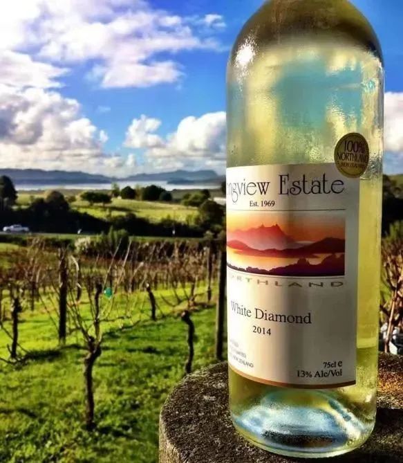 顶流葡萄酒,王牧笛法国尼斯