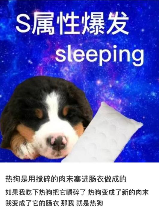 互联网有多精彩搞笑视频,早期互联网搞笑段子