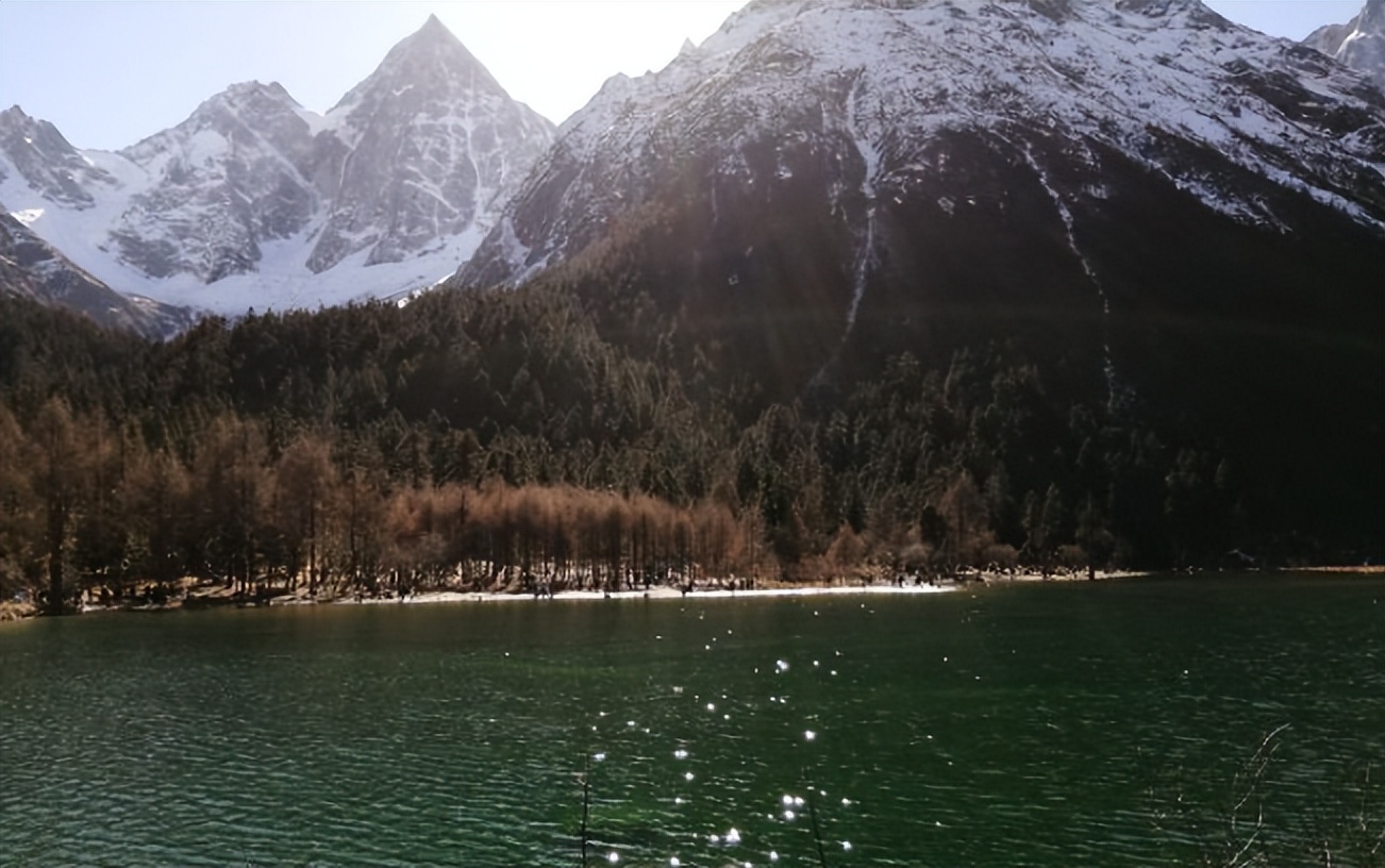 成都徒步原始森林好去处推荐,成都周边徒步森林公园推荐