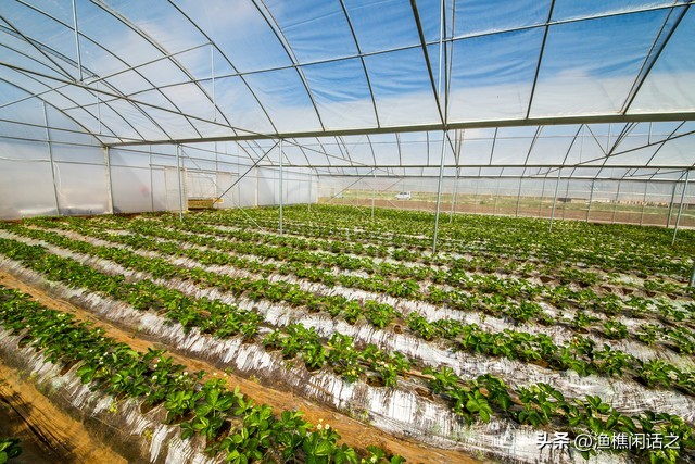 农村电商发展中存在的问题,我国农村电商发展存在的问题