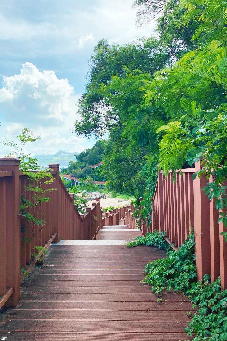 深圳盐田全攻略自由行,深圳盐田旅游攻略