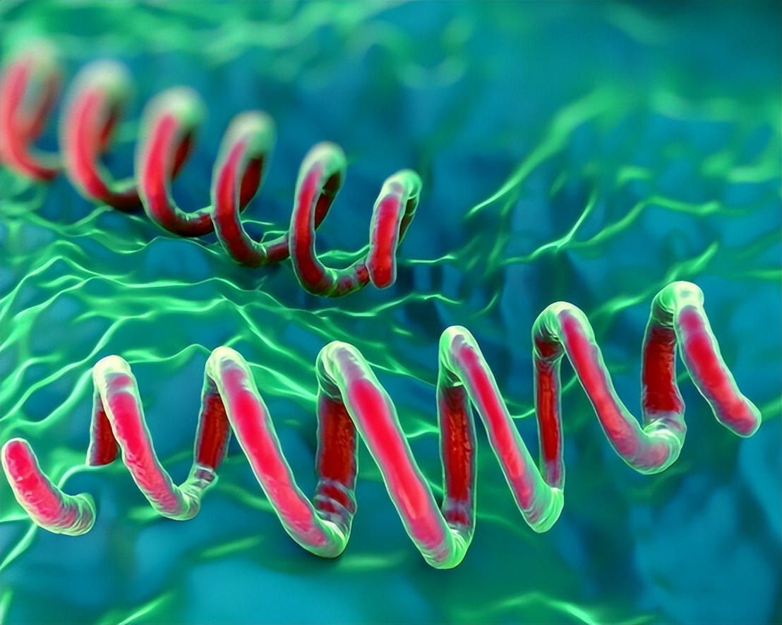 口腔溃疡有可能是梅毒,口腔溃疡长期不好是因为梅毒吗