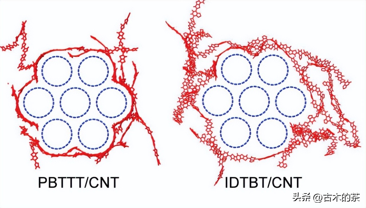管间连接聚合物结构和形态，对共扼聚合物/碳纳米管的影响