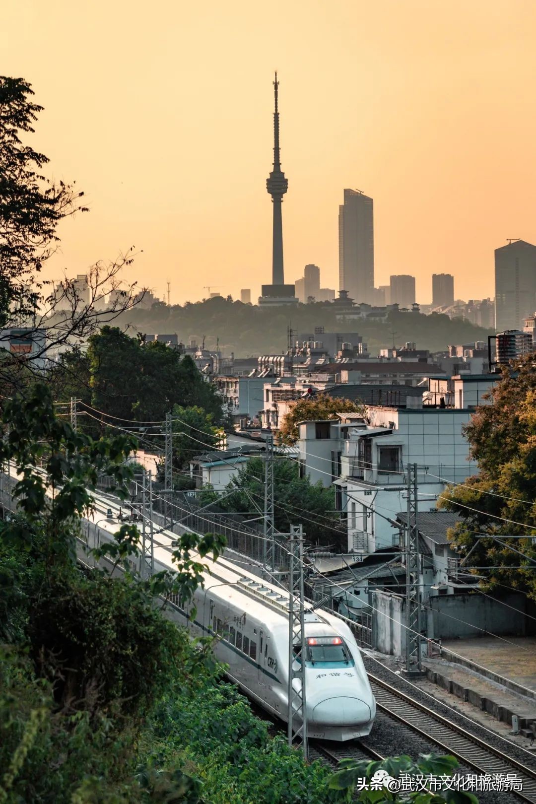第一次来武汉完整版,第一次来武汉文案
