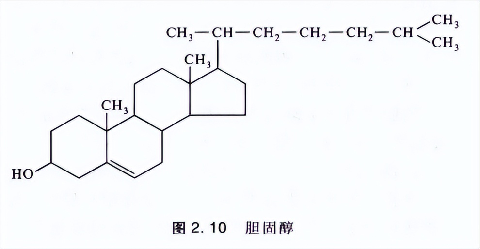 普通生物学（陈阅增）第二章：生命的化学基础知识点